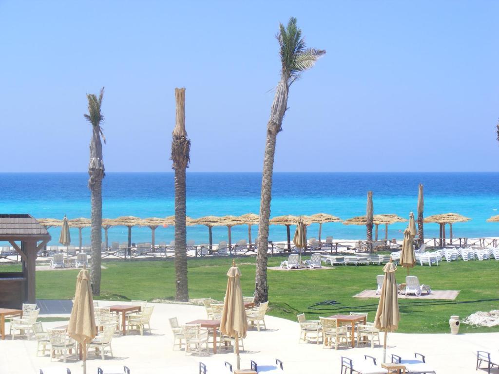 Borg El Arab