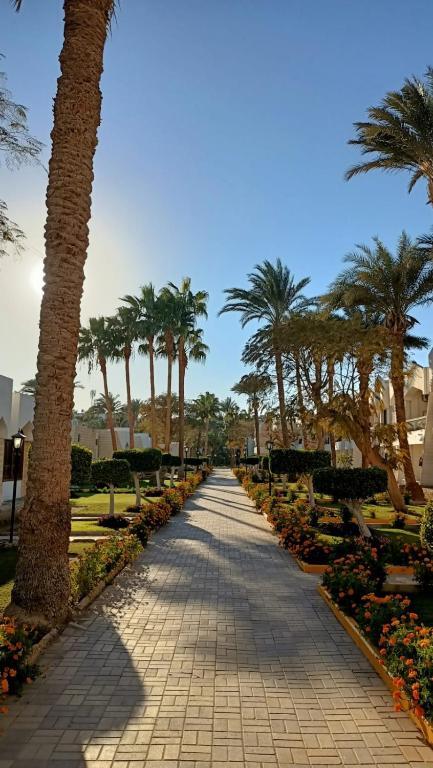 Zya Regina Resort & Aqua Park Hurghada