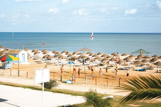 Les Colombes