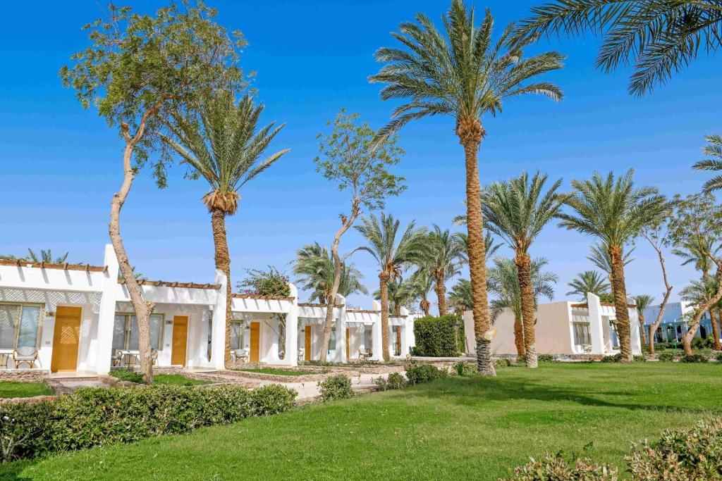 Menaville Safaga (naša procena 4*lux)