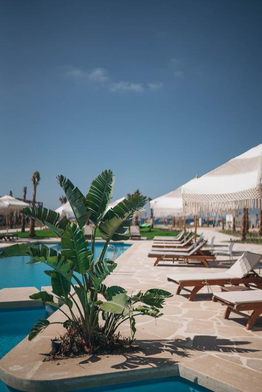 Kynd Resort 01