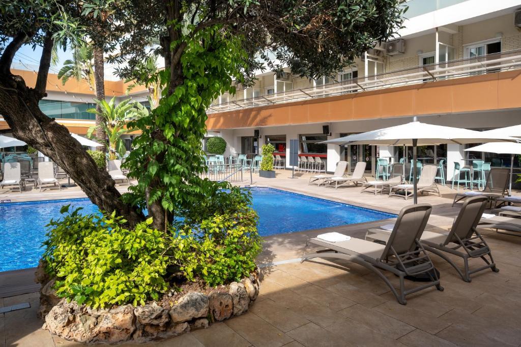 Climia Benidorm Plaza